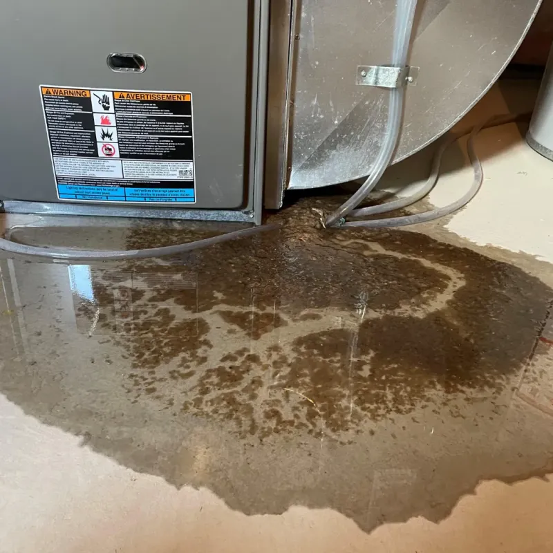 Appliance Leak Cleanup in Verona, PA
