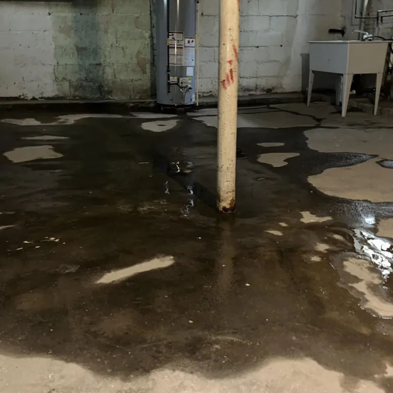 Emergency Water Extraction And Removal in Verona, PA